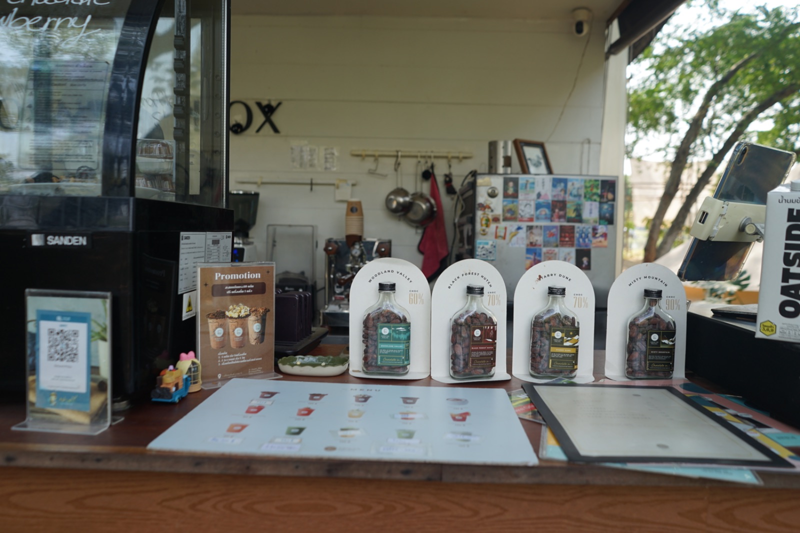 Ground Phlox ambiance image 22