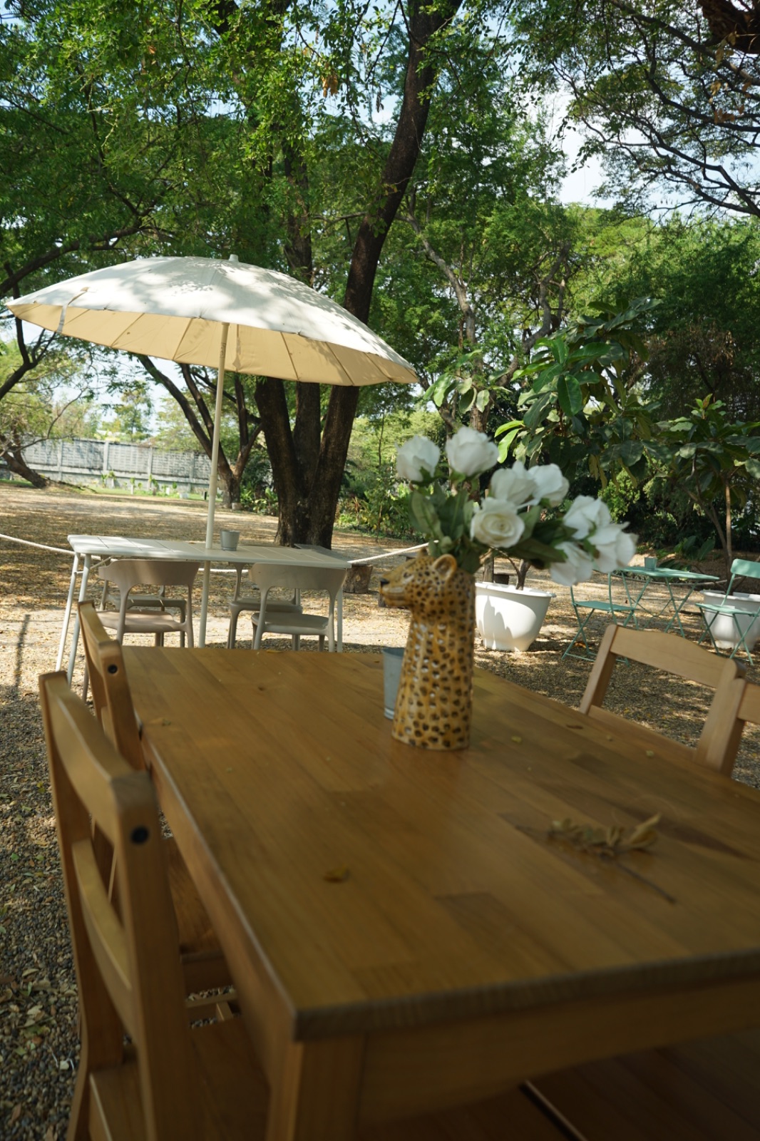 Ground Phlox ambiance image 3