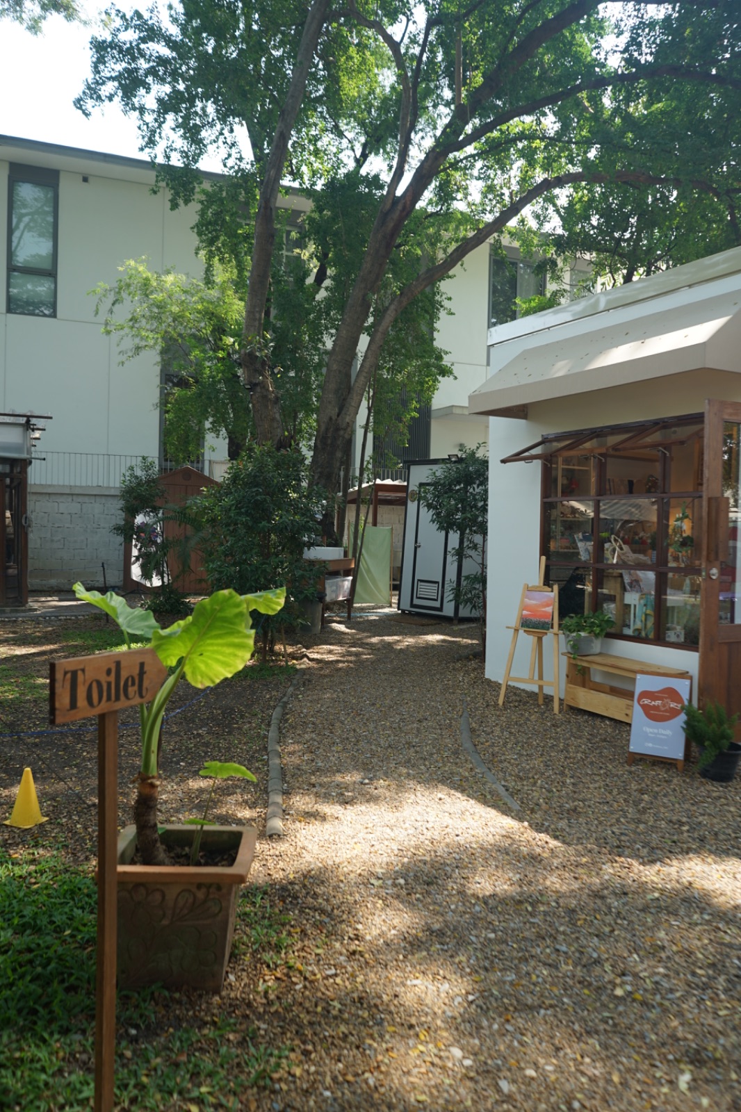 Ground Phlox ambiance image 12