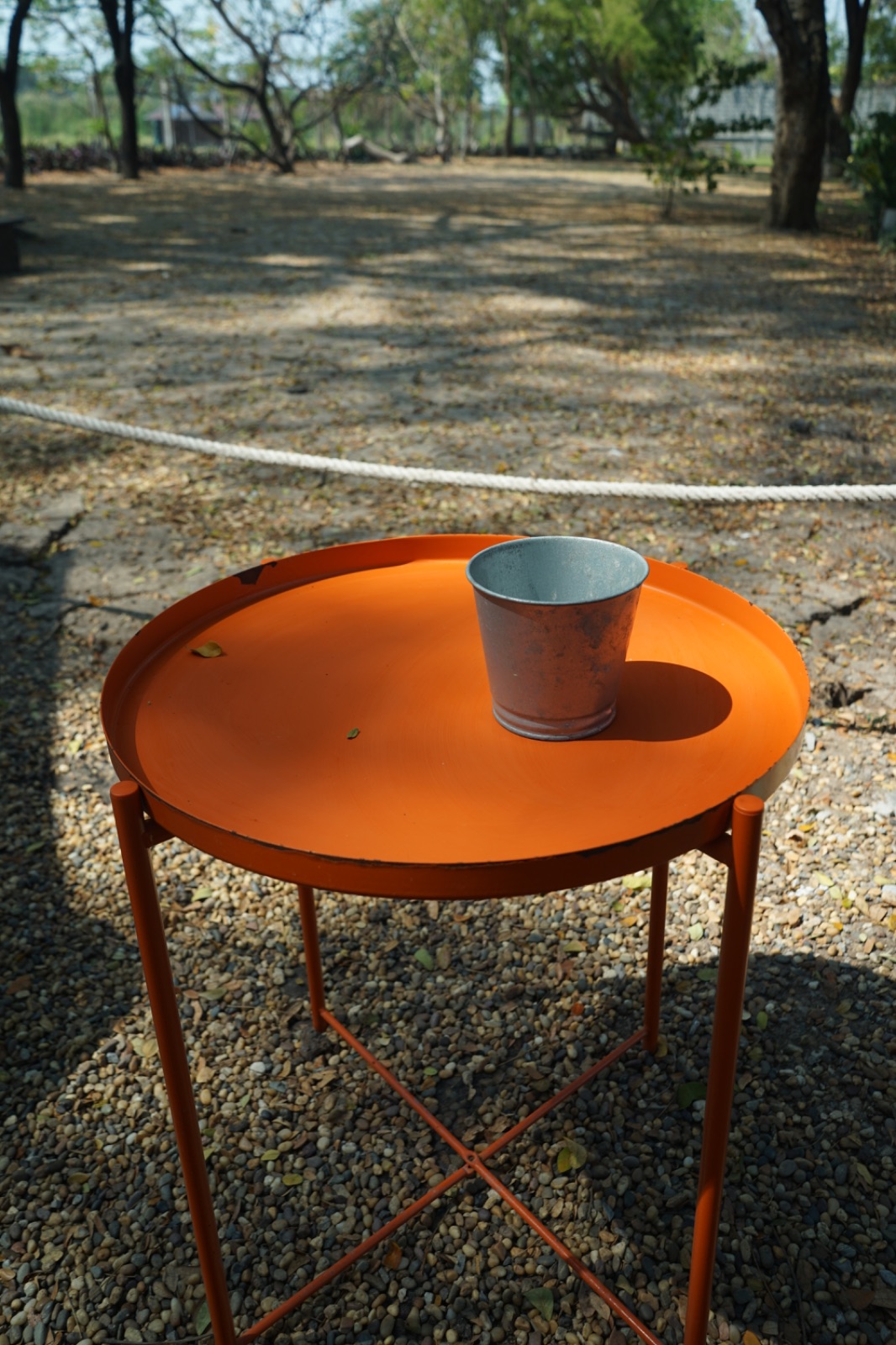 Ground Phlox ambiance image 6