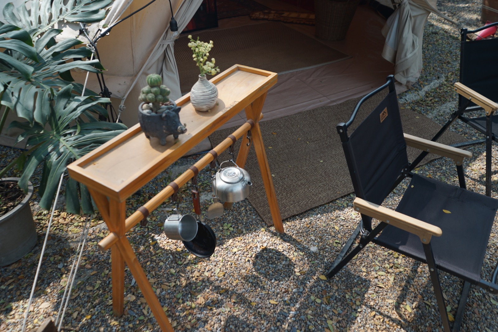 Ground Phlox ambiance image 9