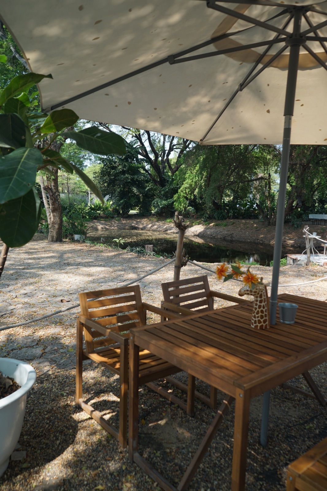 Ground Phlox hero image 4