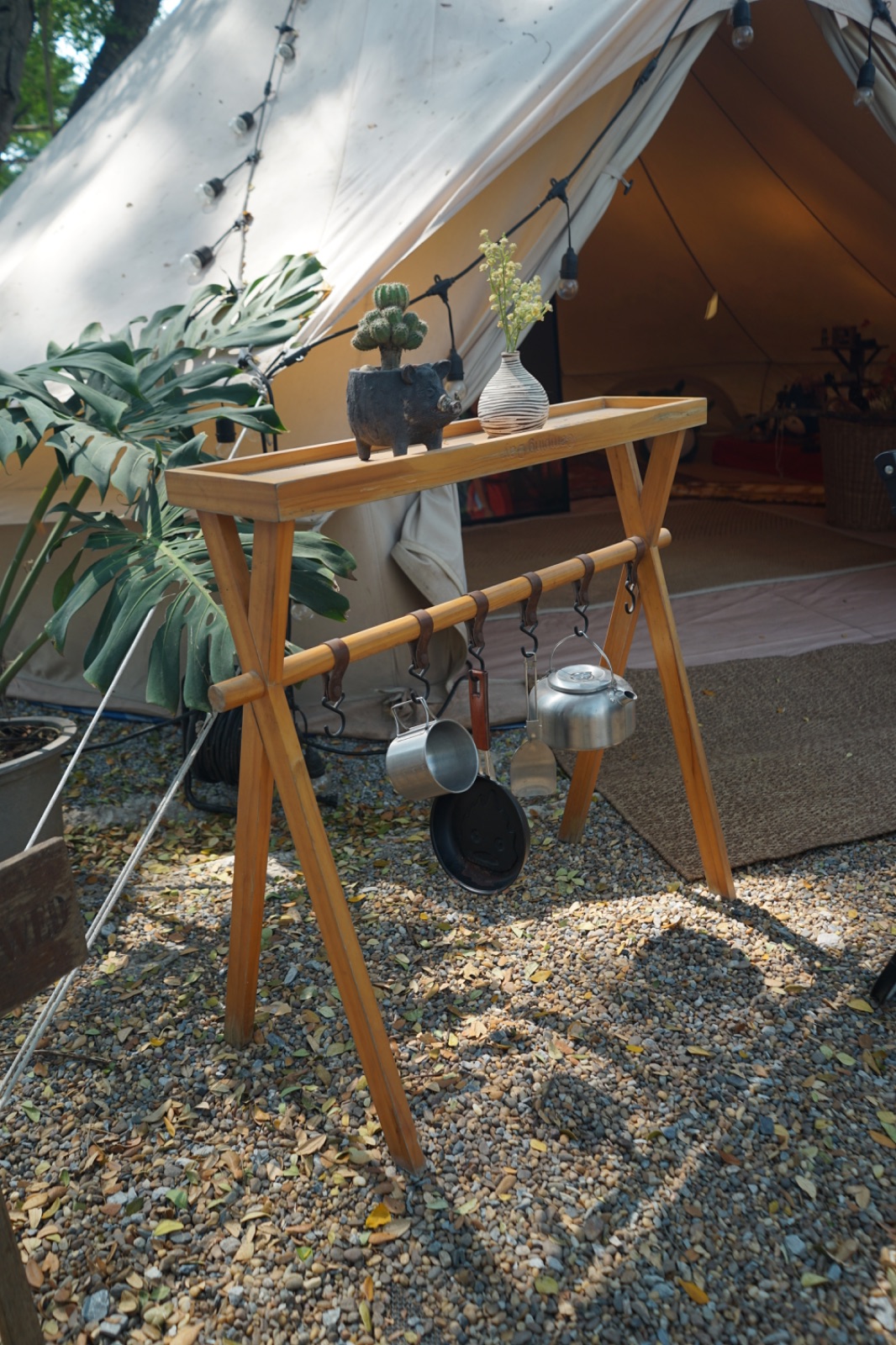 Ground Phlox ambiance image 17