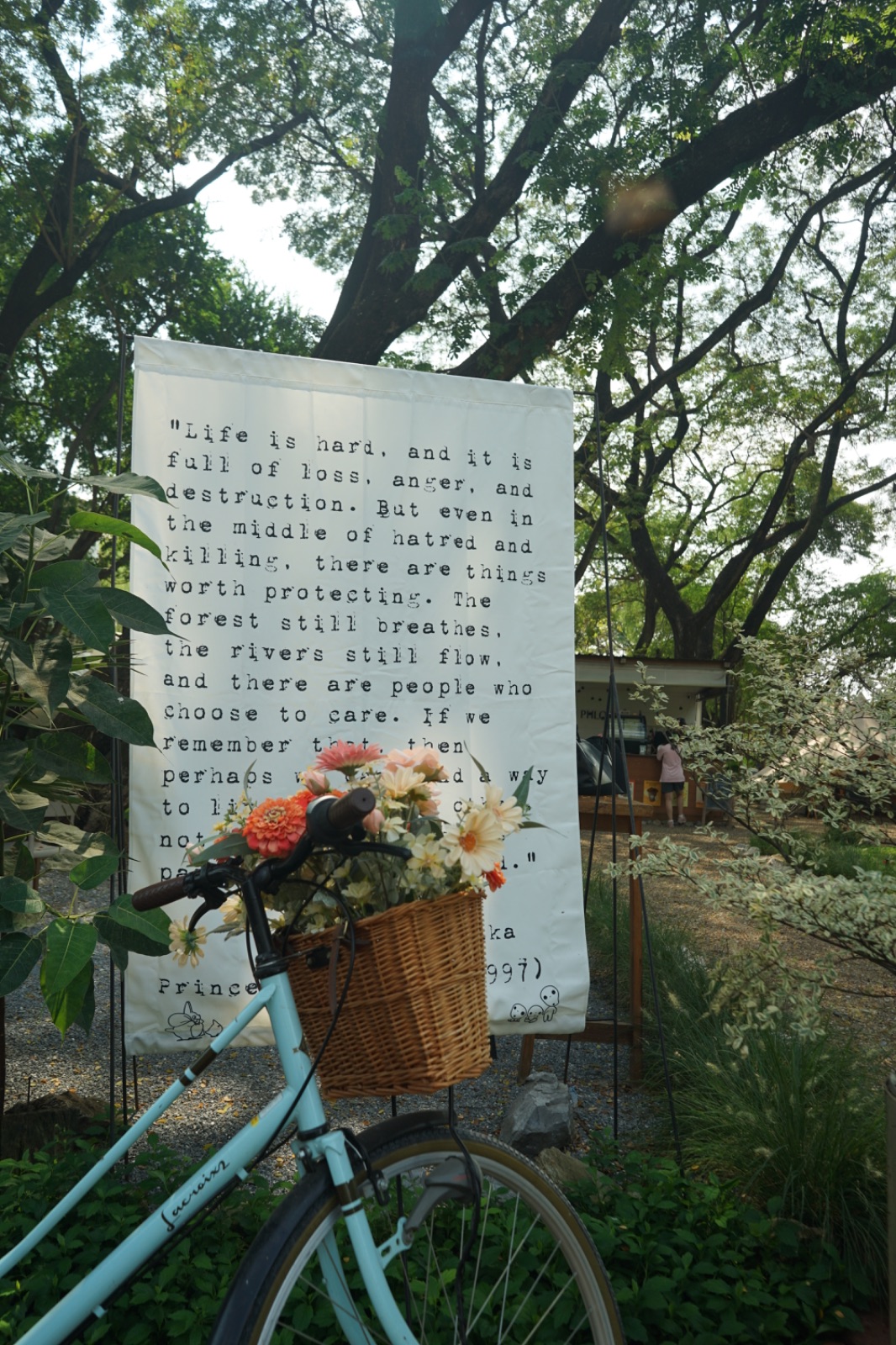 Ground Phlox ambiance image 5