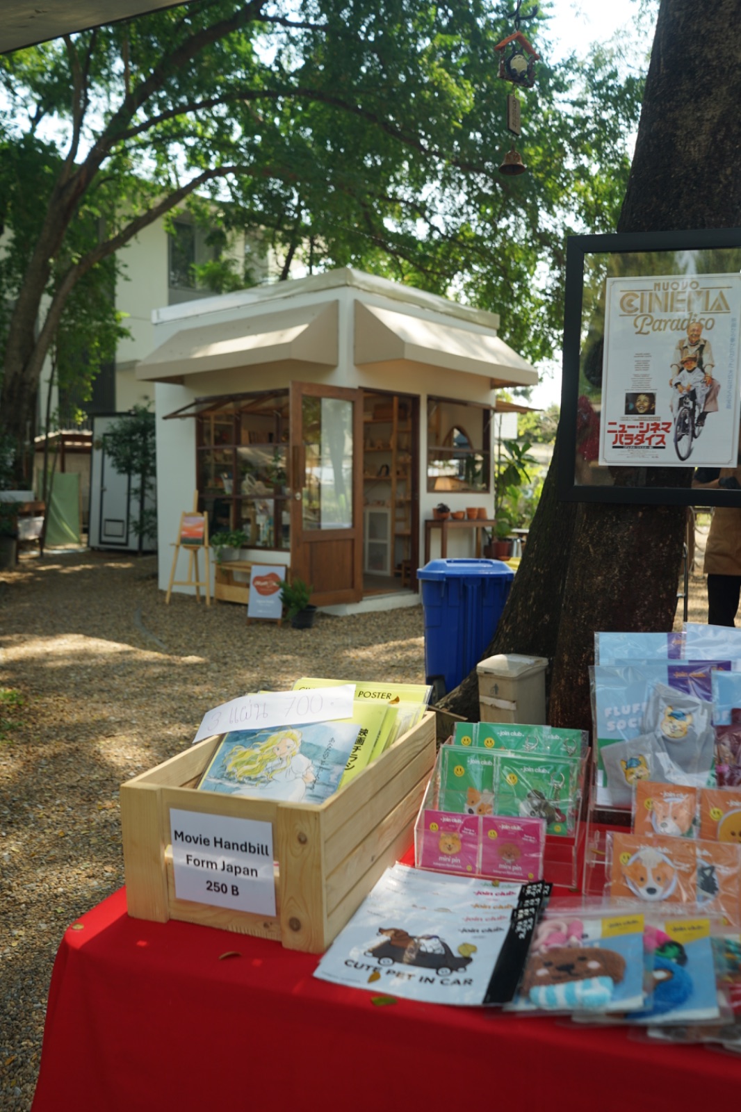 Ground Phlox ambiance image 13