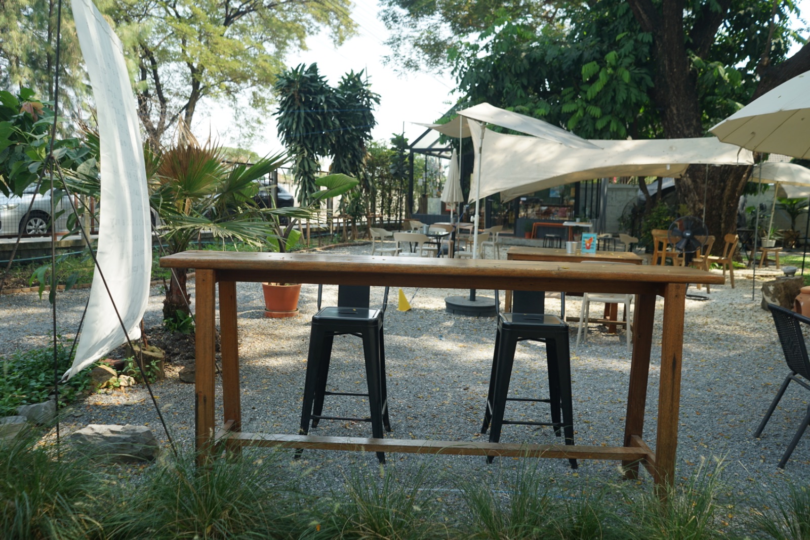 Ground Phlox ambiance image 20