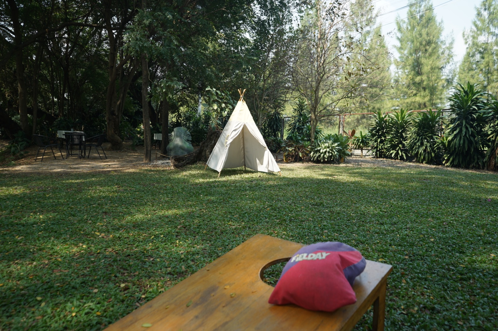 Ground Phlox ambiance image 4