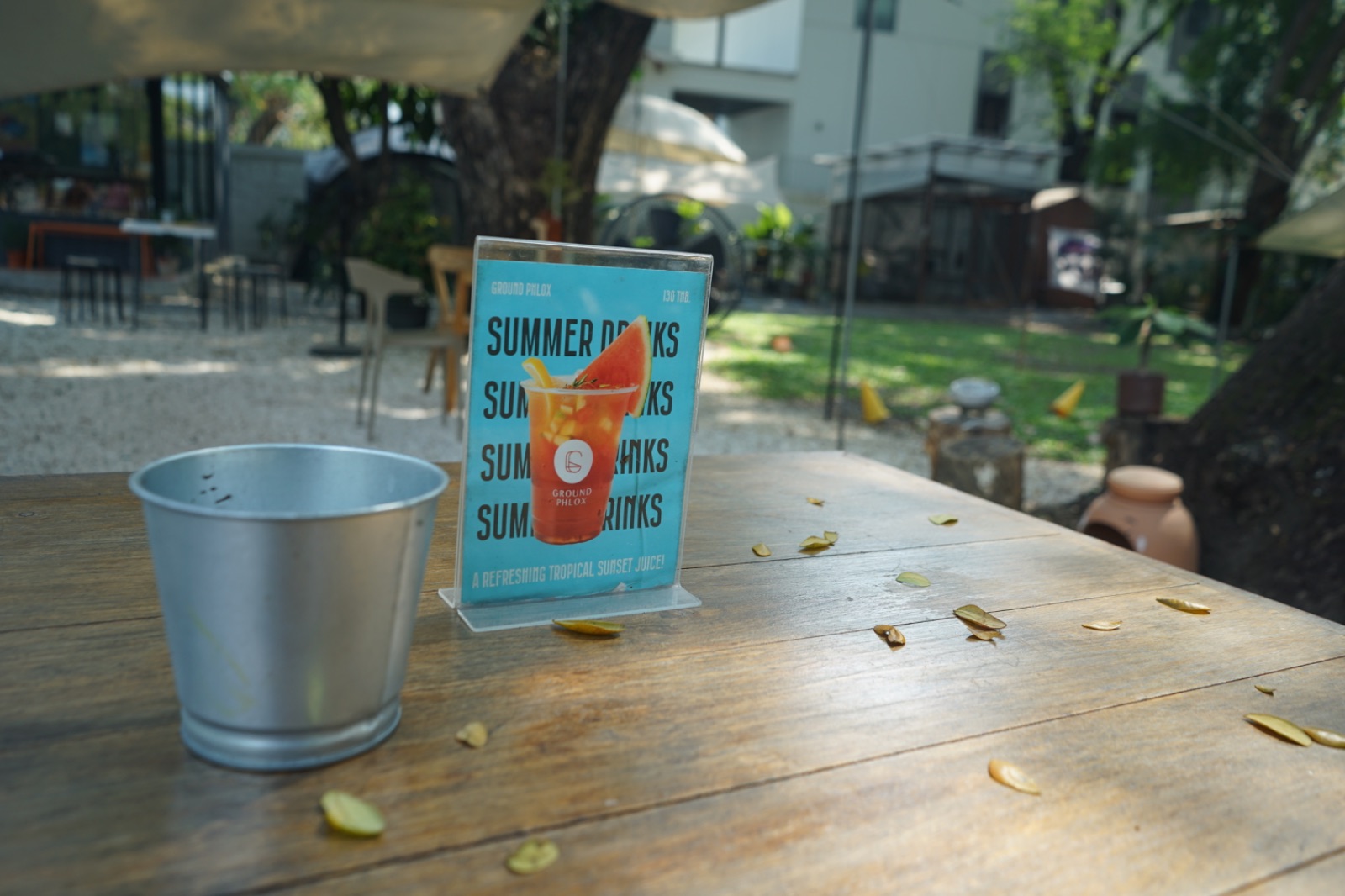 Ground Phlox ambiance image 19