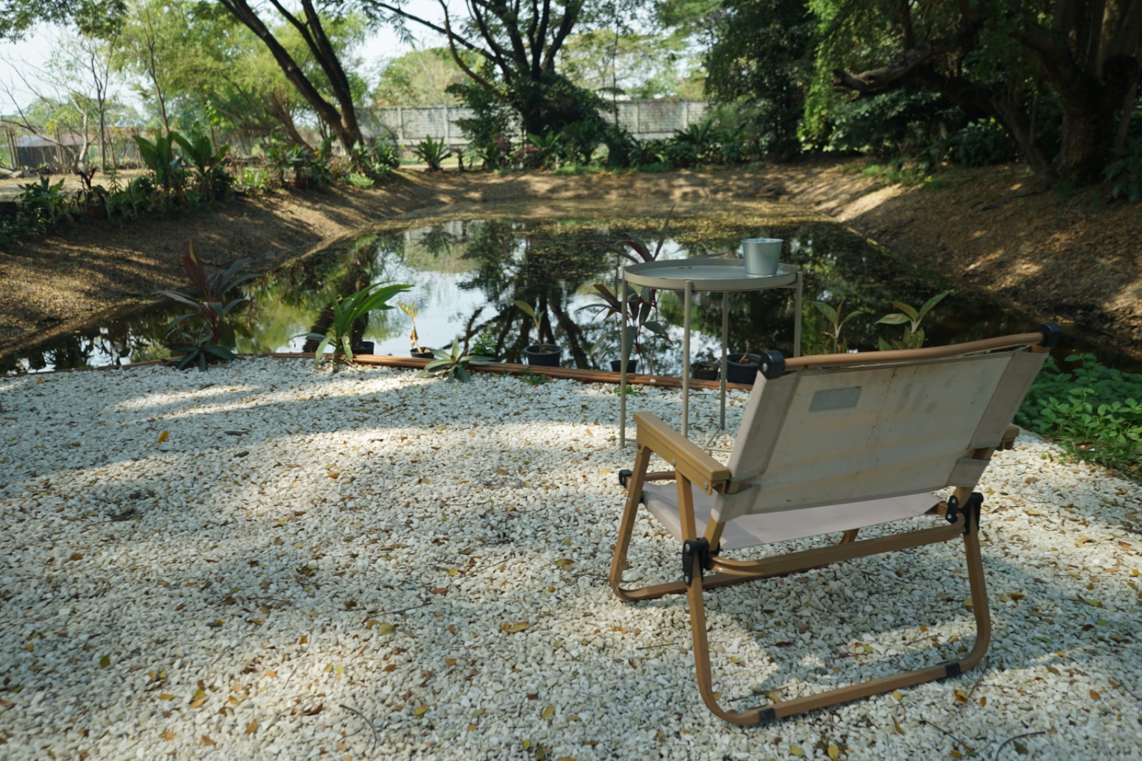 Ground Phlox hero image 5