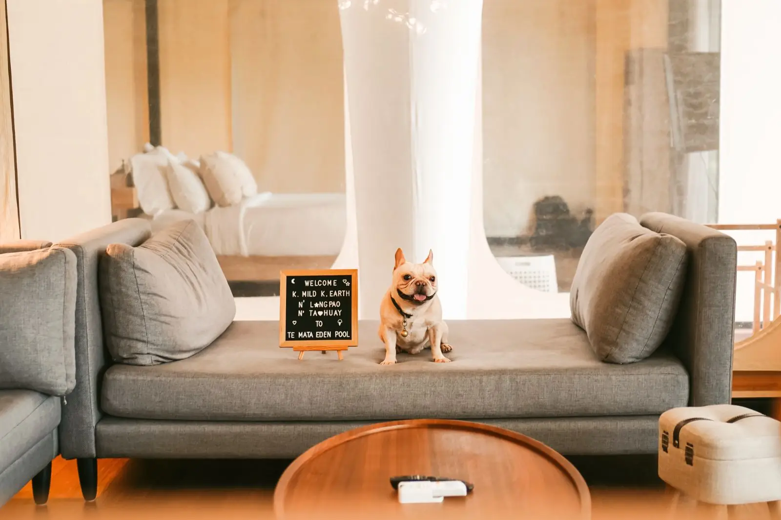 Te Mata Glamping - Khao Yai pets image 5