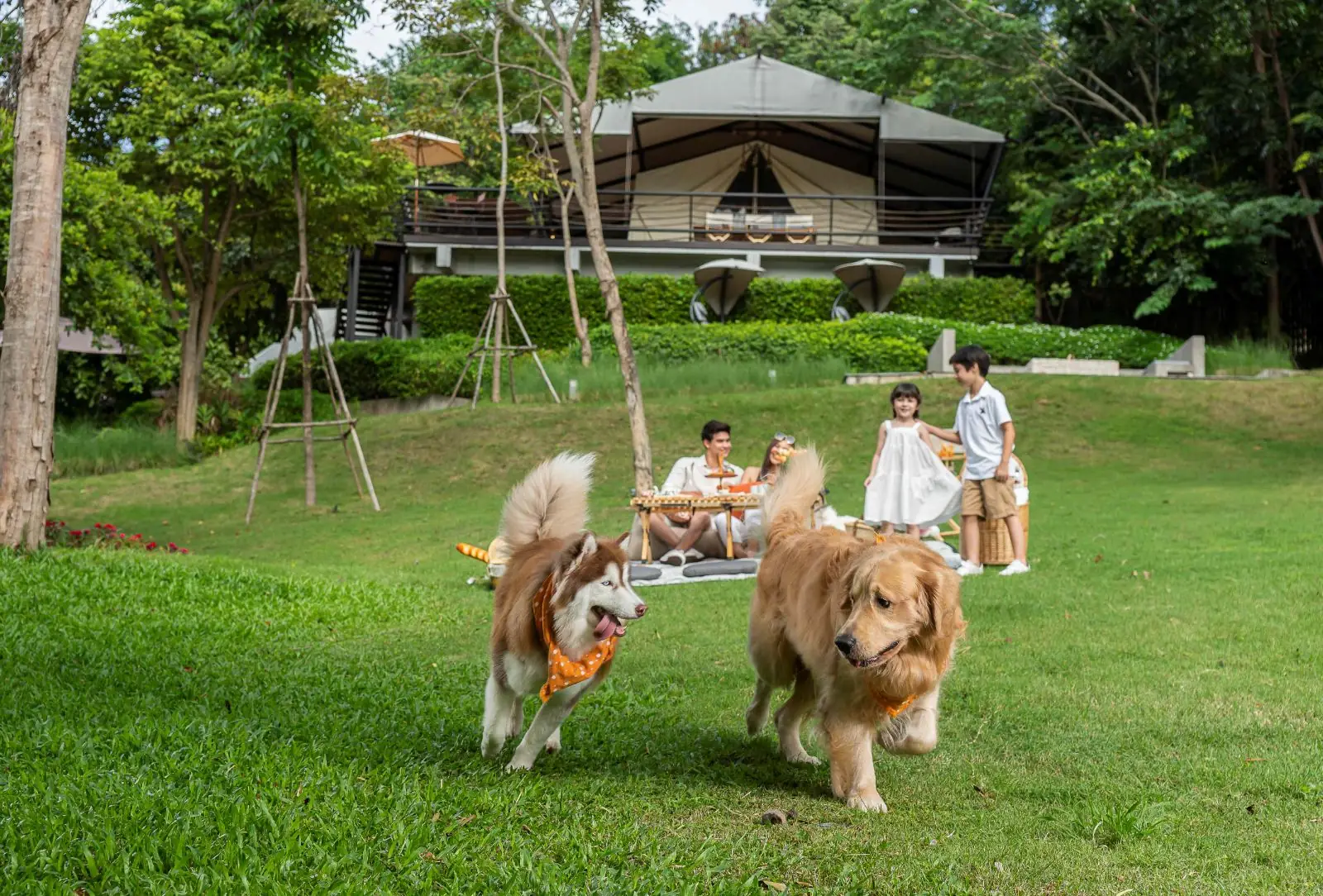 Te Mata Glamping - Khao Yai pets image 10