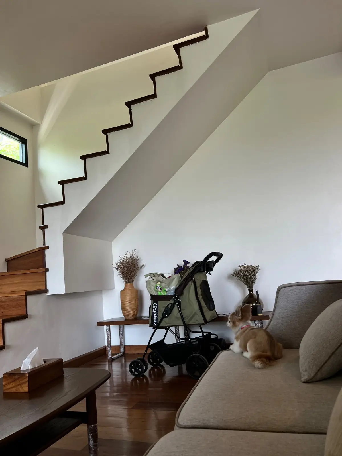 Te Mata Glamping - Khao Yai pets image 1