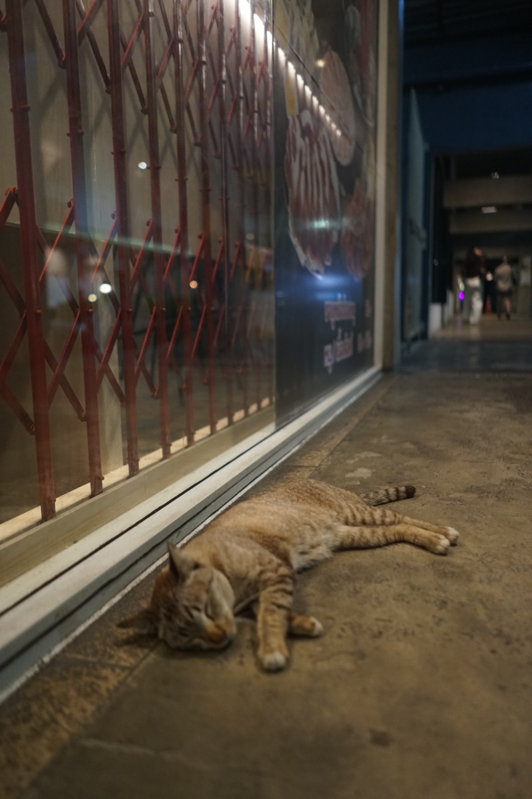 Lust Ramen - โครงการ วัน อุดมสุข pets image 1