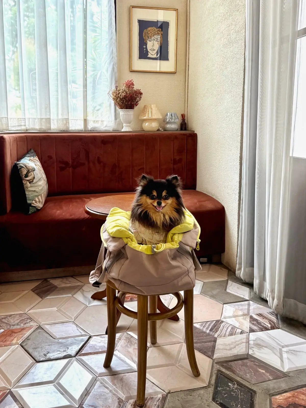 Grazia Gelato other image 7