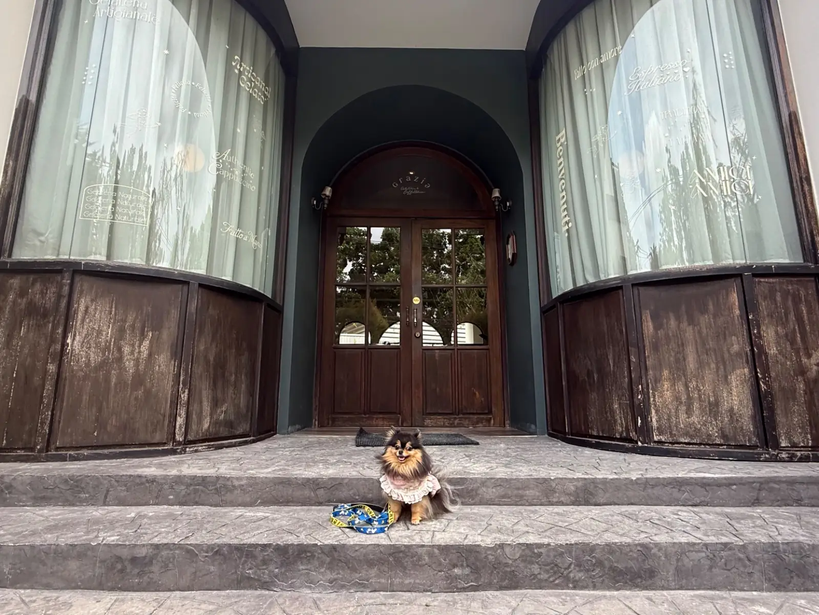 Grazia Gelato other image 2