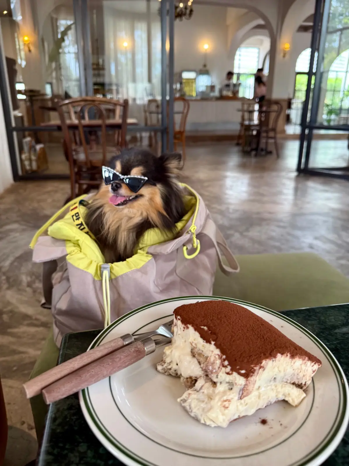 Grazia Gelato other image 6