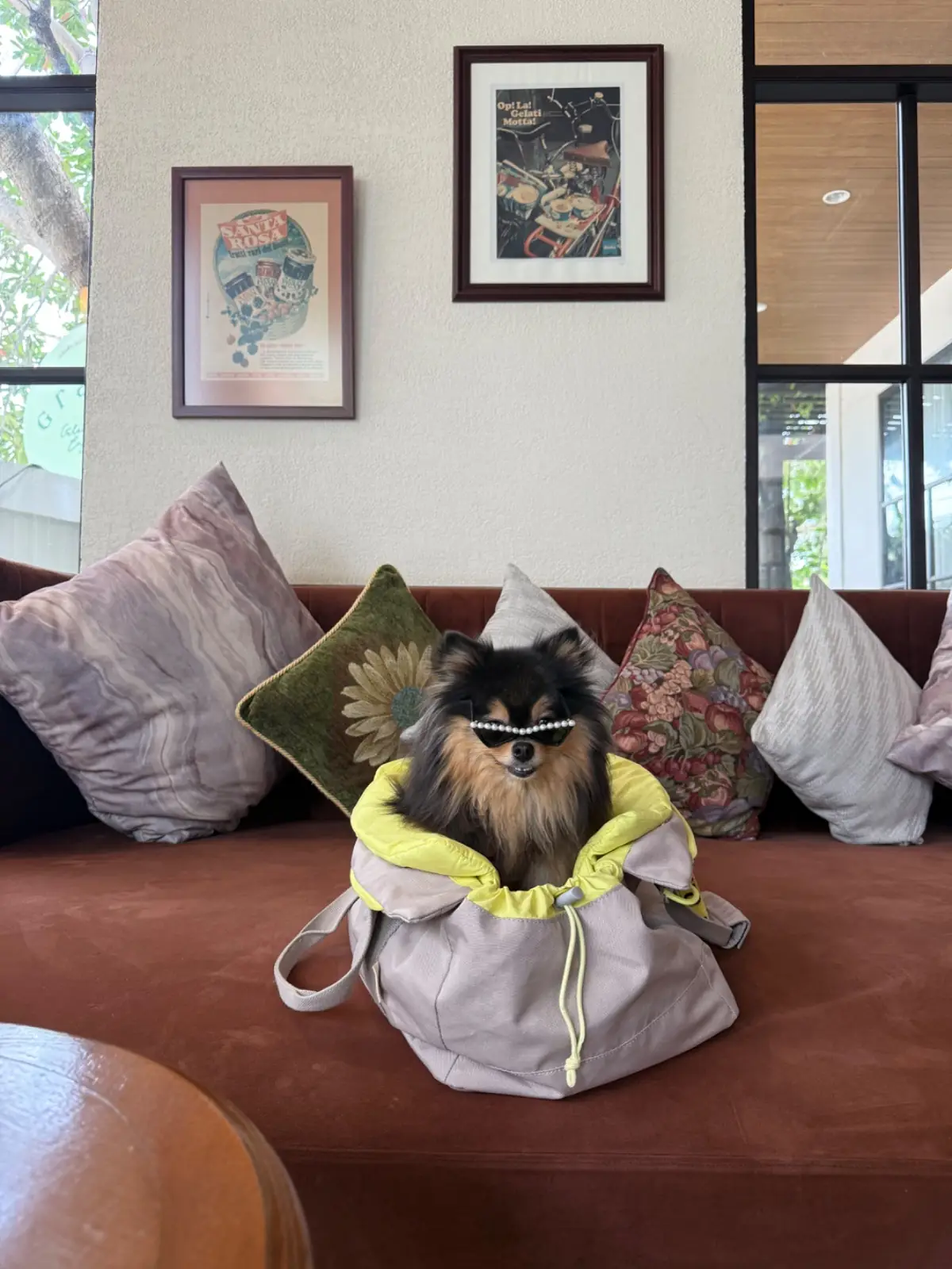 Grazia Gelato other image 1