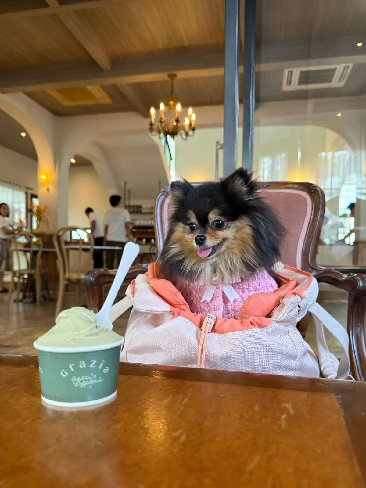 Grazia Gelato other image 8