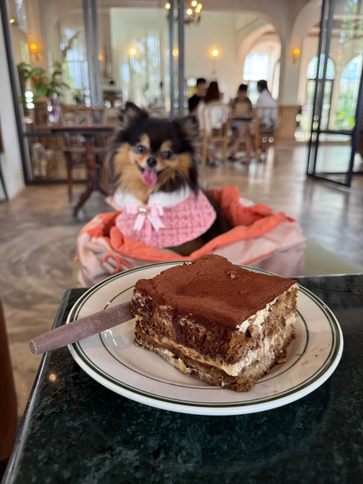 Grazia Gelato other image 9