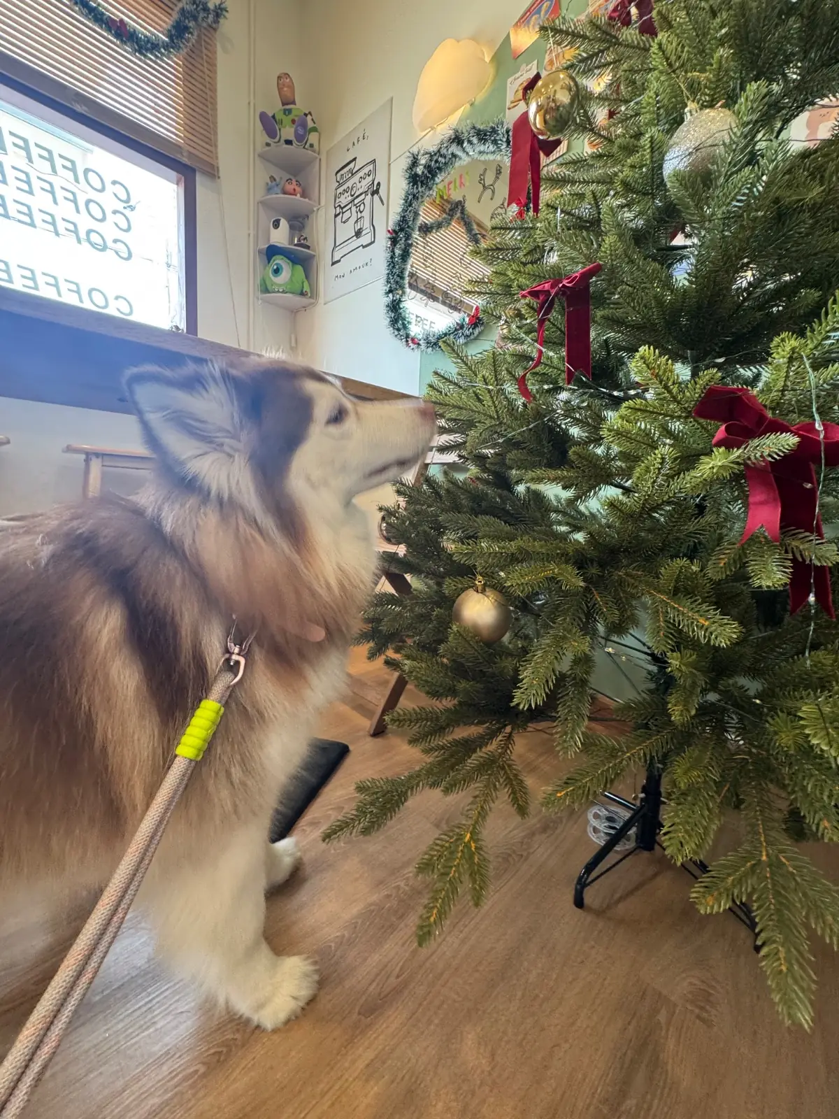 Marshmew.gang pets image 1