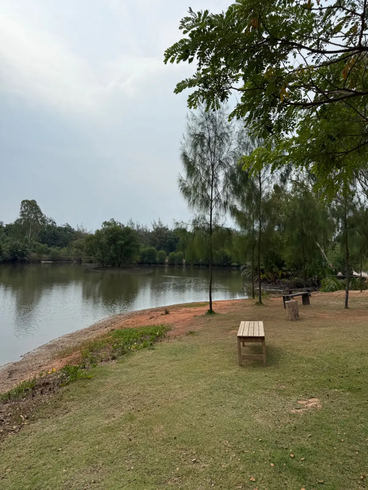บ้านพัฒก์ คาเฟ่ overall image 1