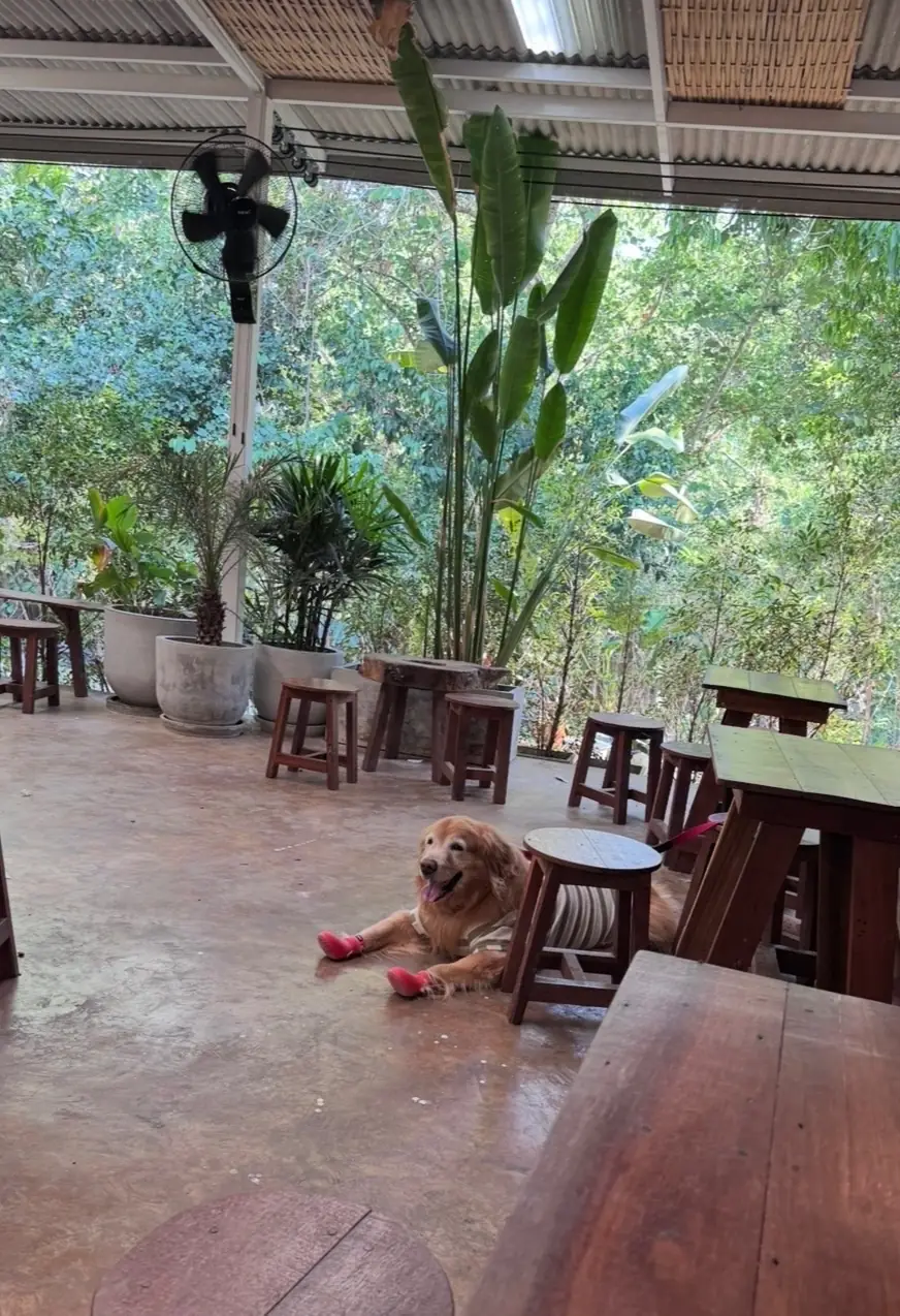 ไทรสุก overall image 1