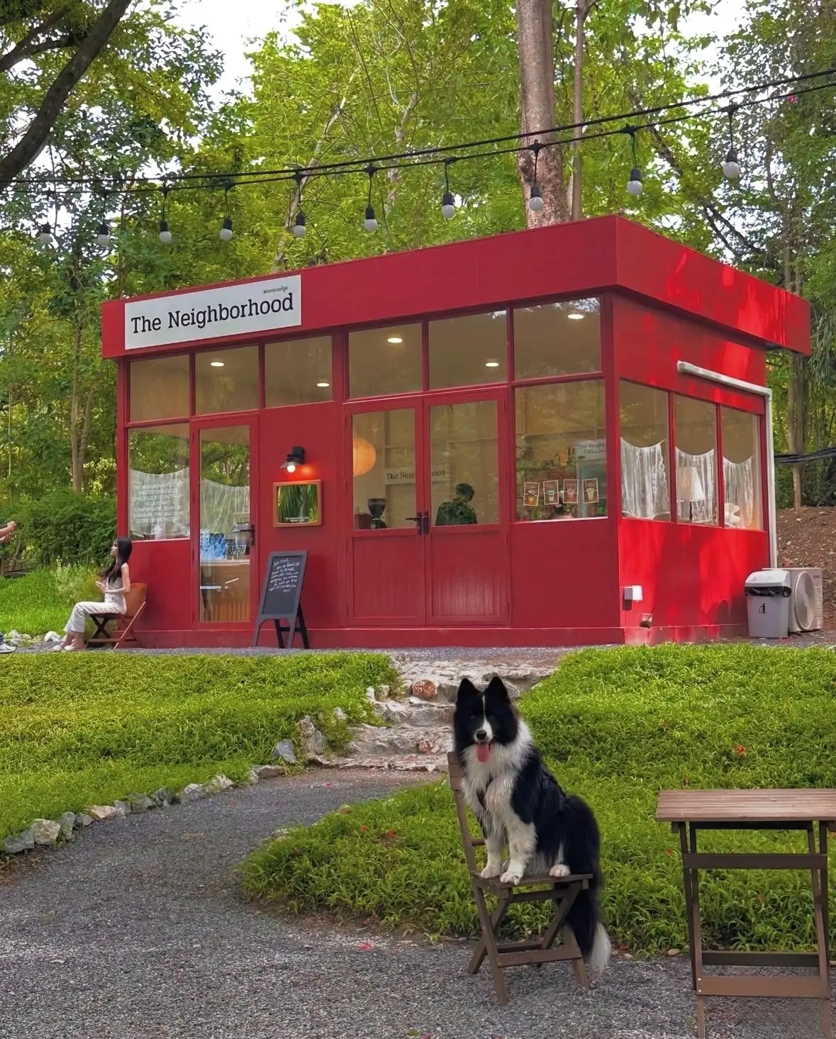 The Neighborhood pets image 6