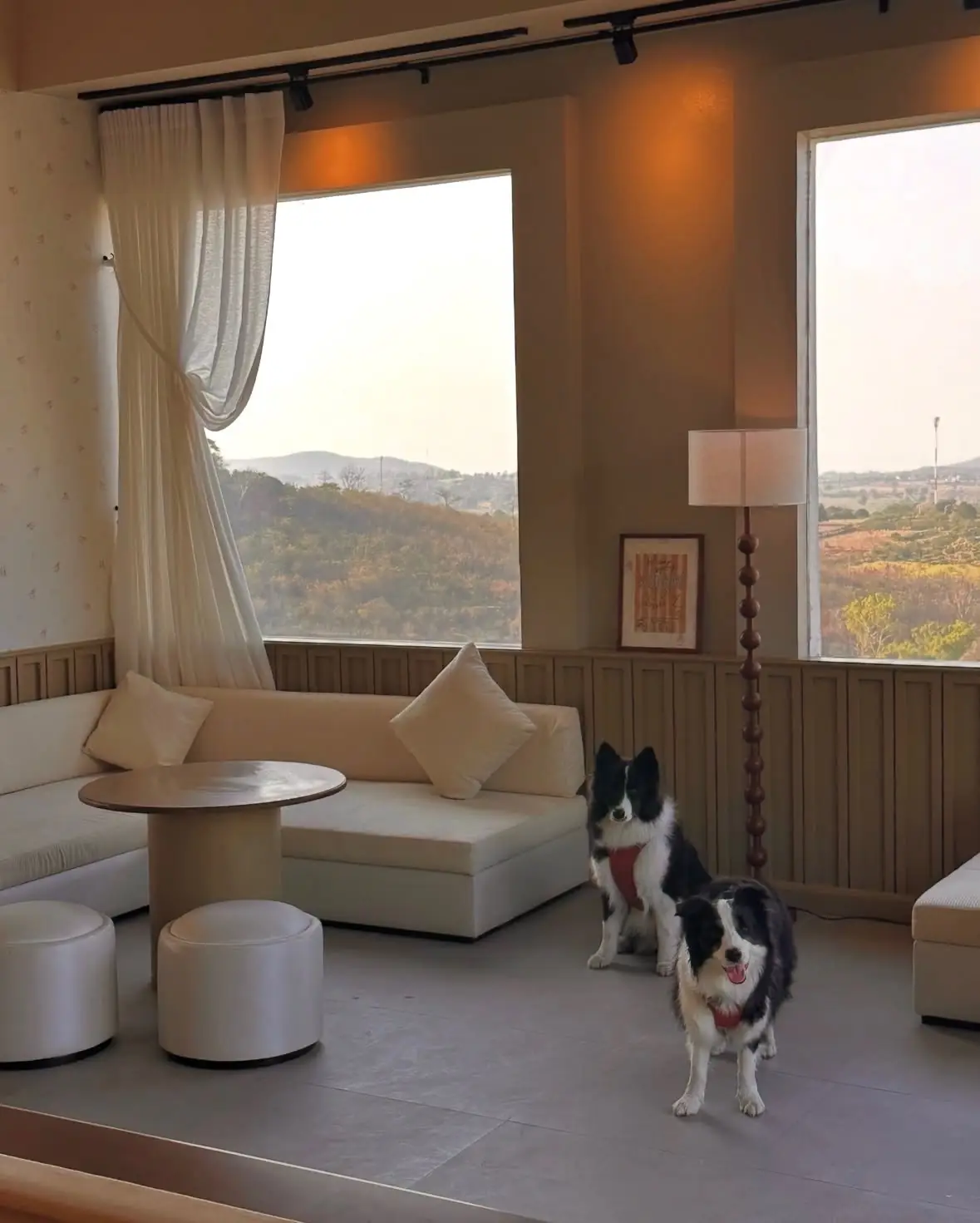 Sunbay pets image 1