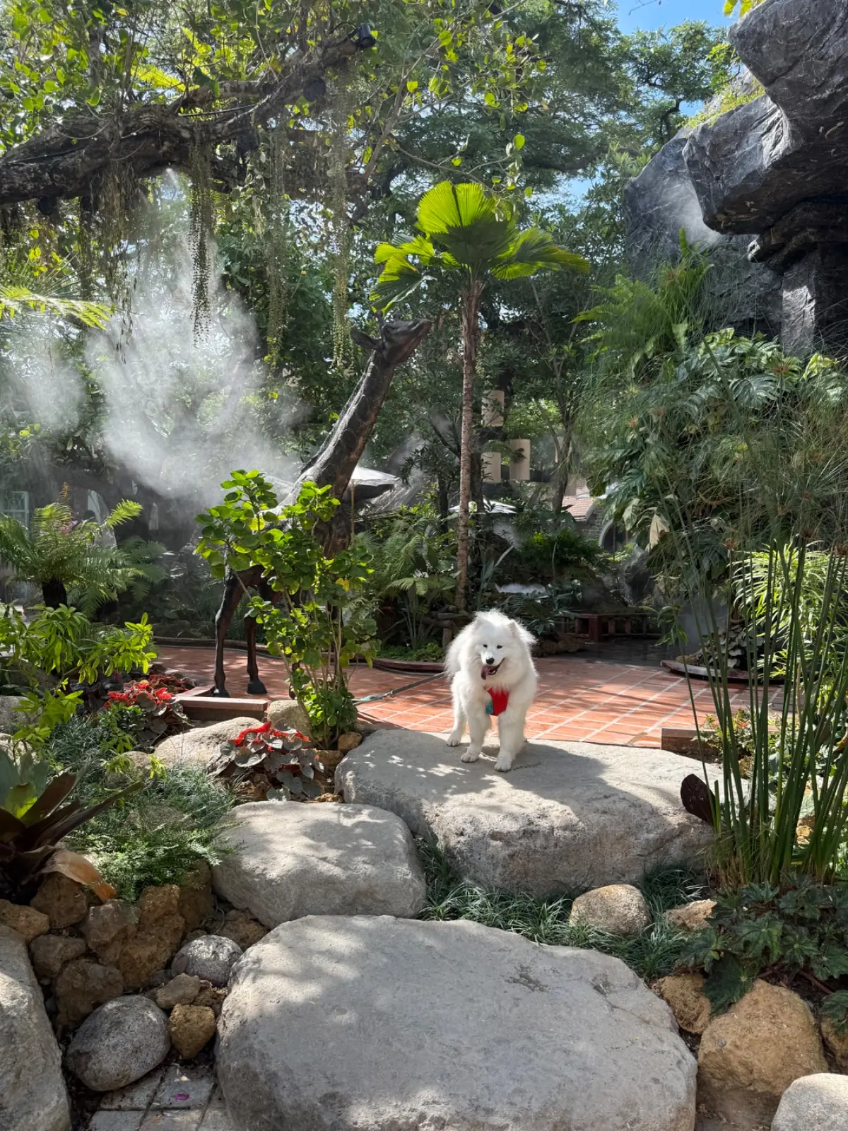 บ้านสวนสาทร คราฟแอนด์คาเฟ่ pets image 1
