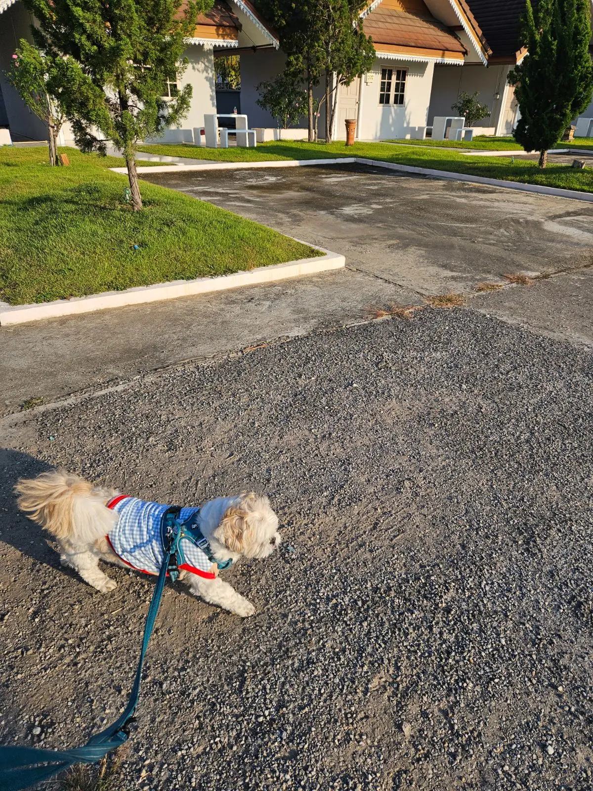 โรงแรมฝันหวาน Funwan Hotel and Viennoiserie pets image 2