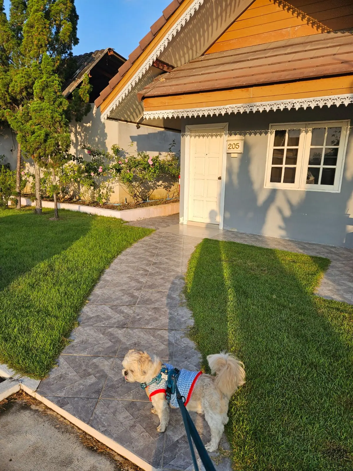 โรงแรมฝันหวาน Funwan Hotel and Viennoiserie pets image 1