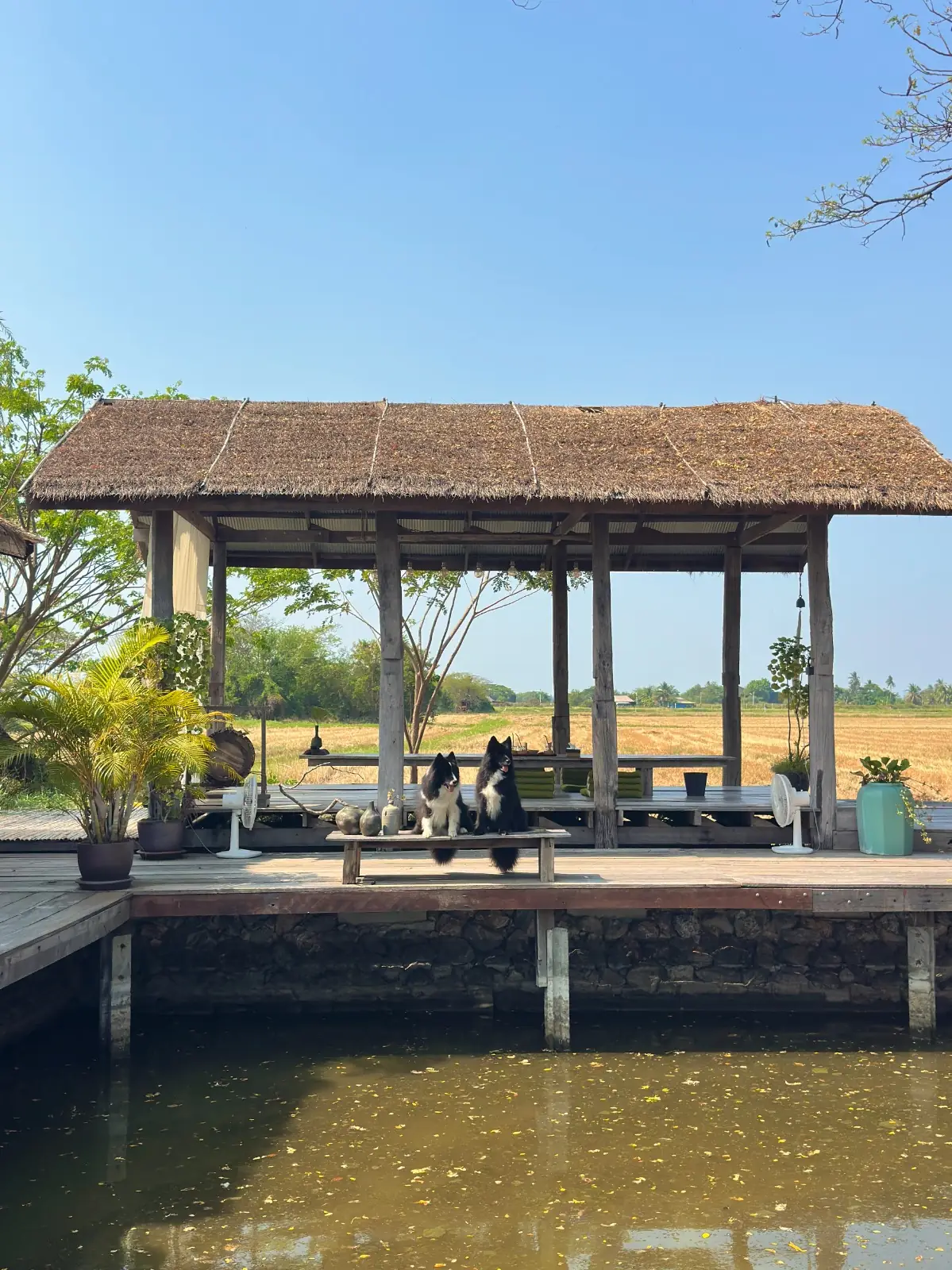 บ้านง่าย…งาม ambiance image 1