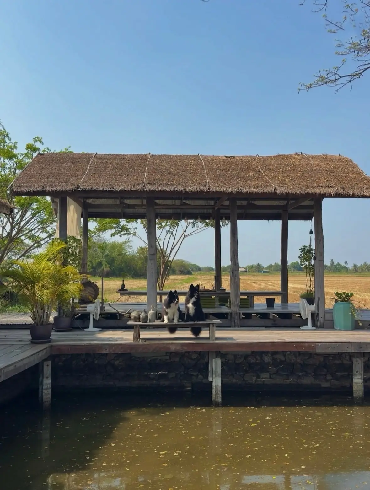 บ้านง่าย…งาม overall image 4