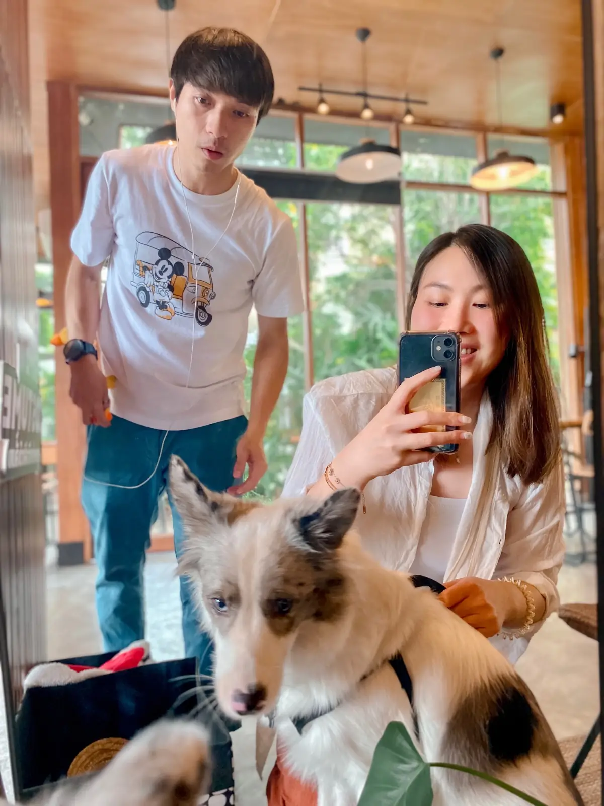 Hotto Bun ลาดกระบัง pets image 1