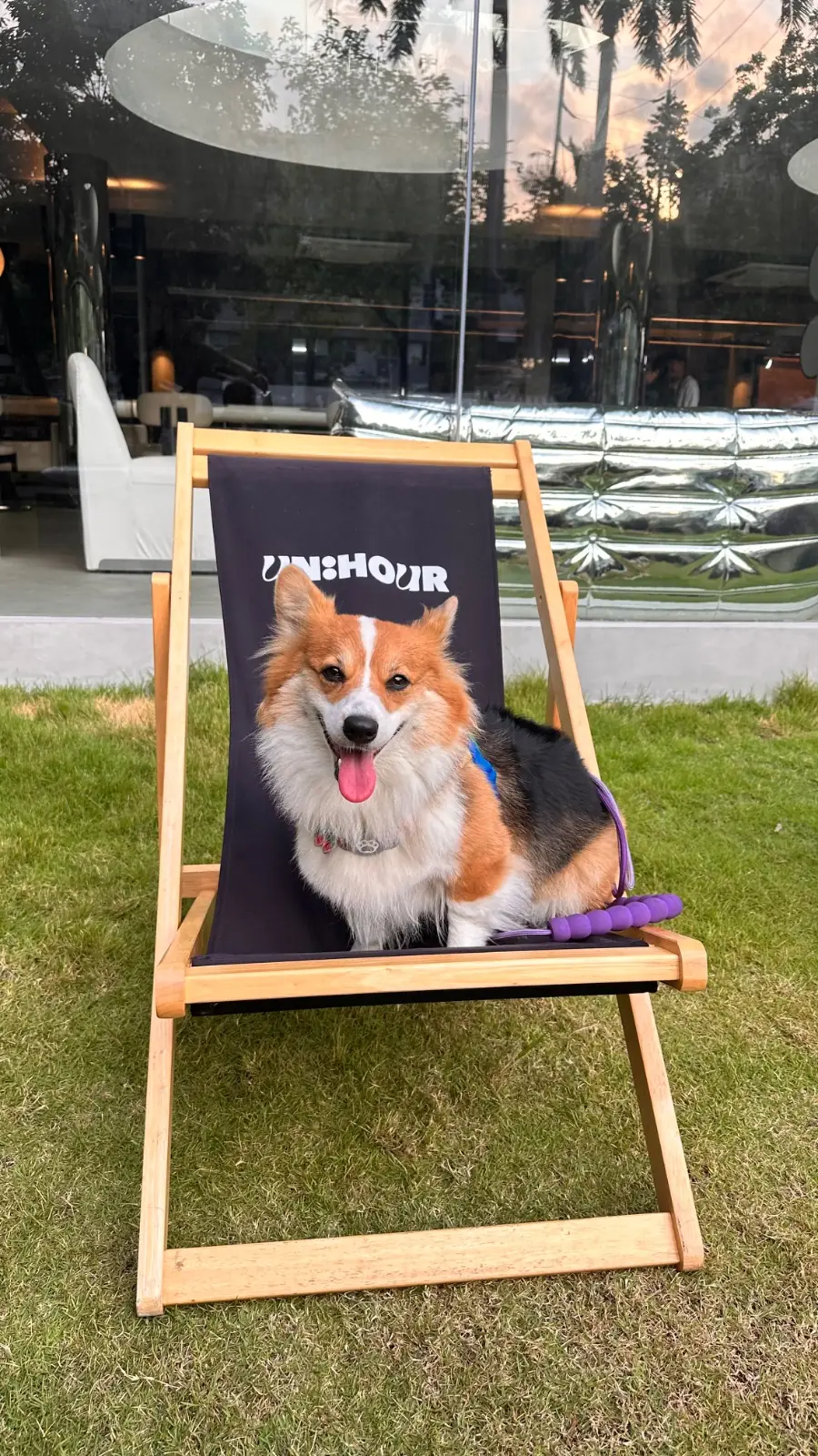 UNHOUR pets image 3