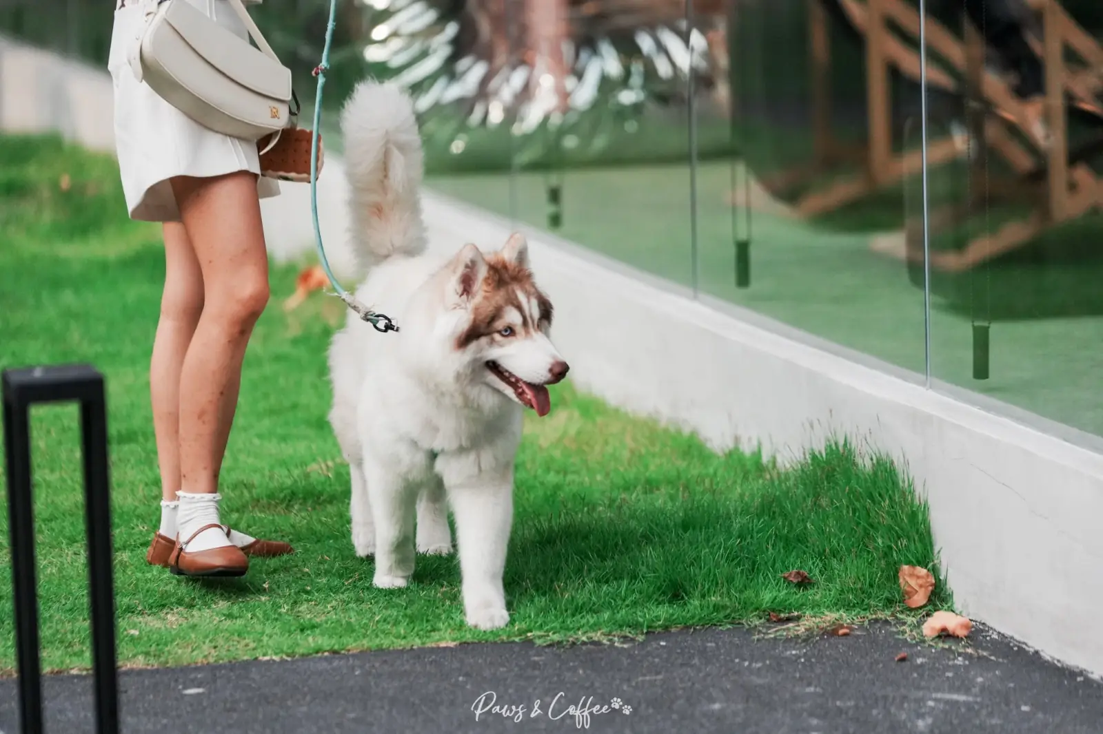 UNHOUR pets image 8