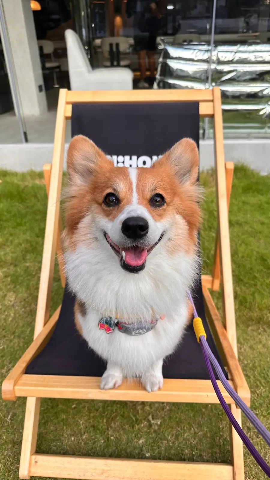 UNHOUR pets image 5