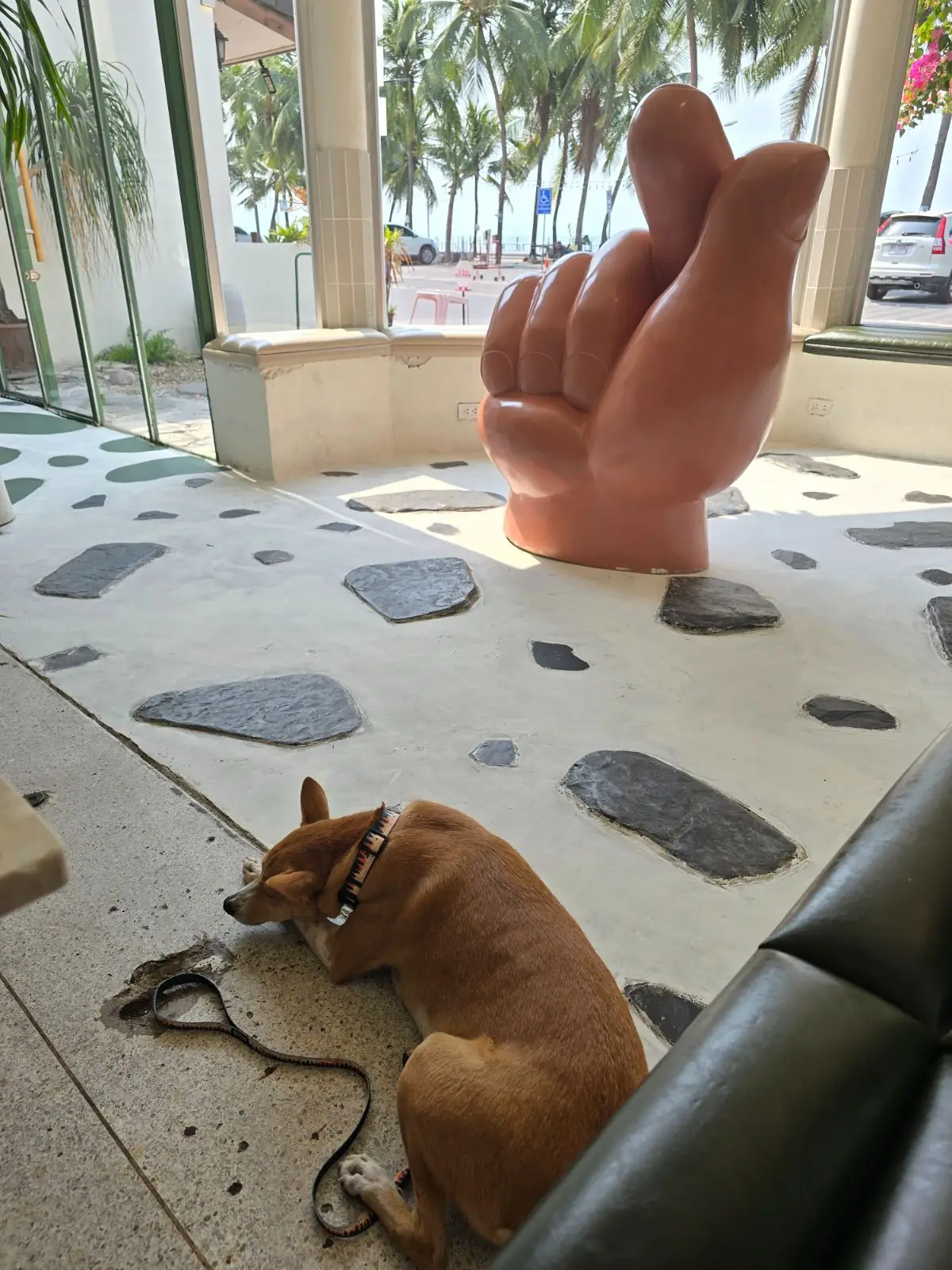 Fade Away pets image 1