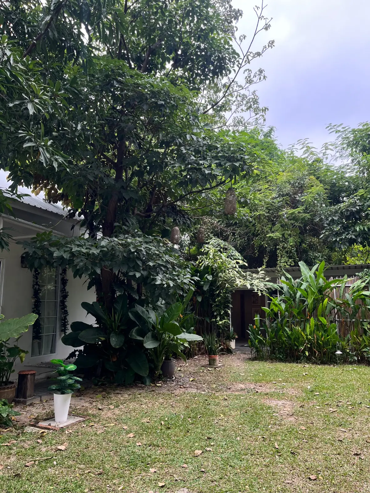 COAL Bake&Grill ambiance image 1