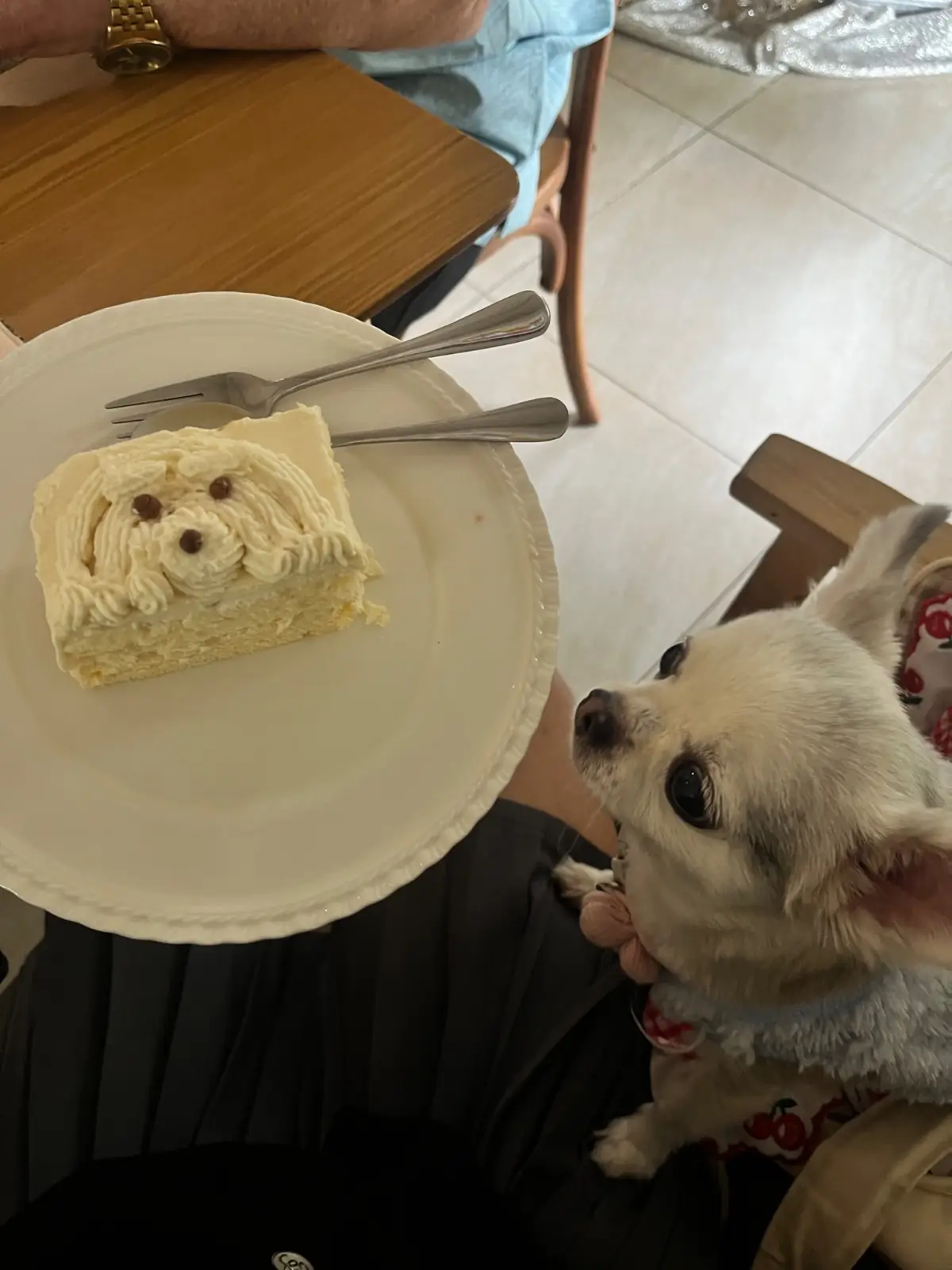 COAL Bake&Grill pets image 1