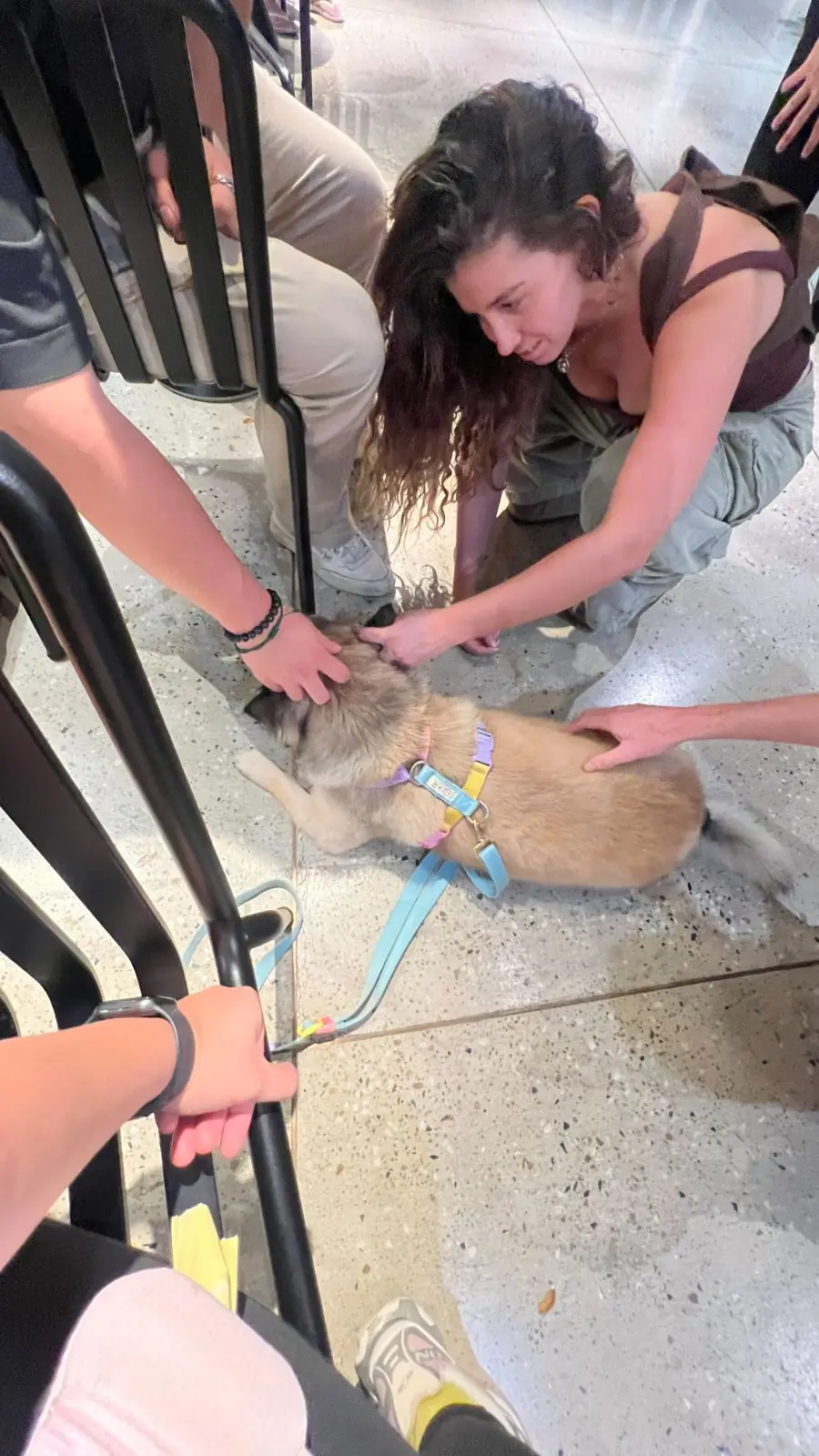 Sarnies & Friends other image 2