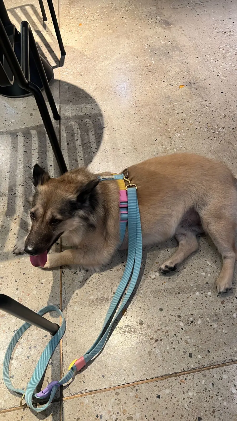 Sarnies & Friends other image 3