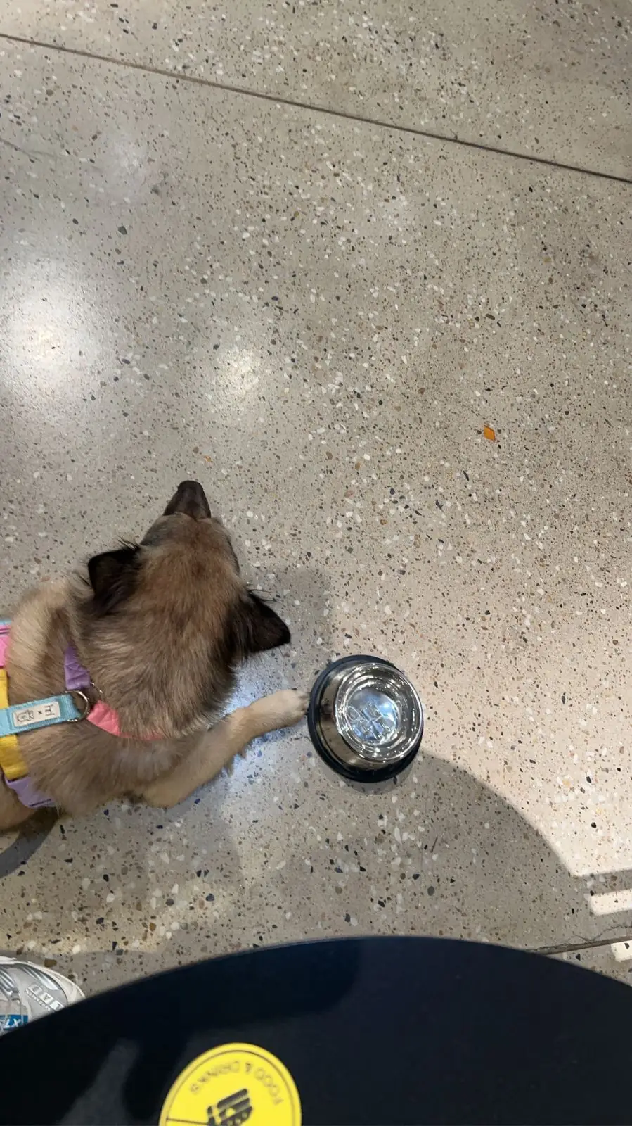 Sarnies & Friends other image 1