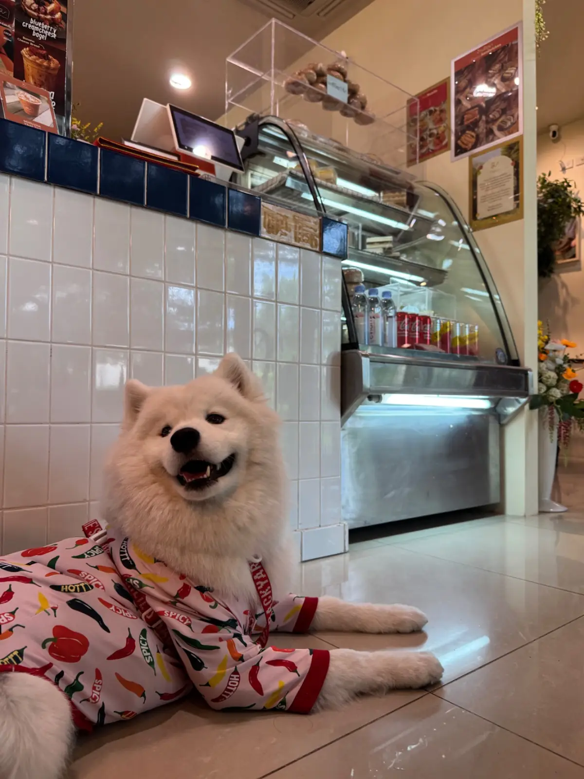 บ้านมิถุนา cafe and bakery pets image 1