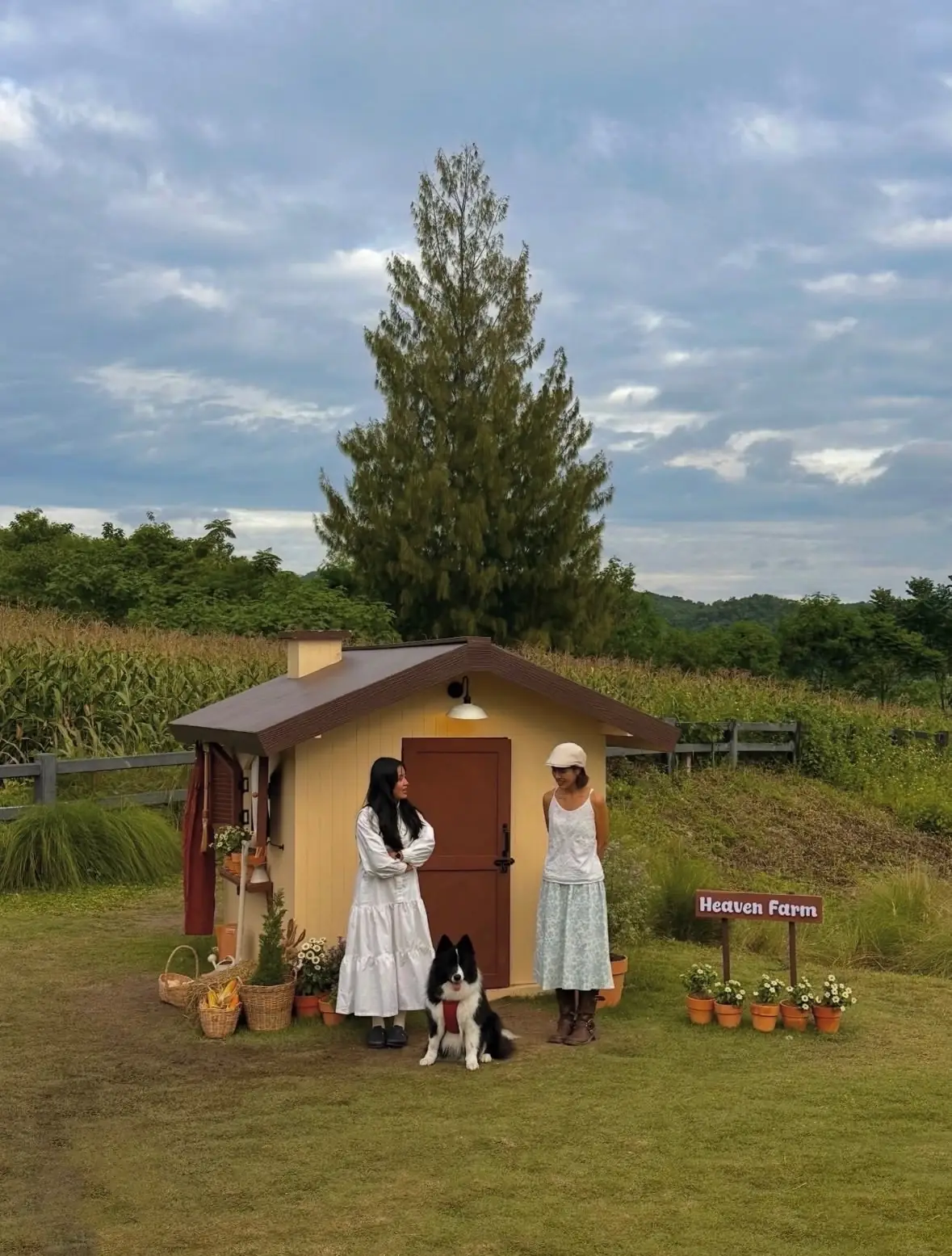 Heaven Garden Khaoyai pets image 3