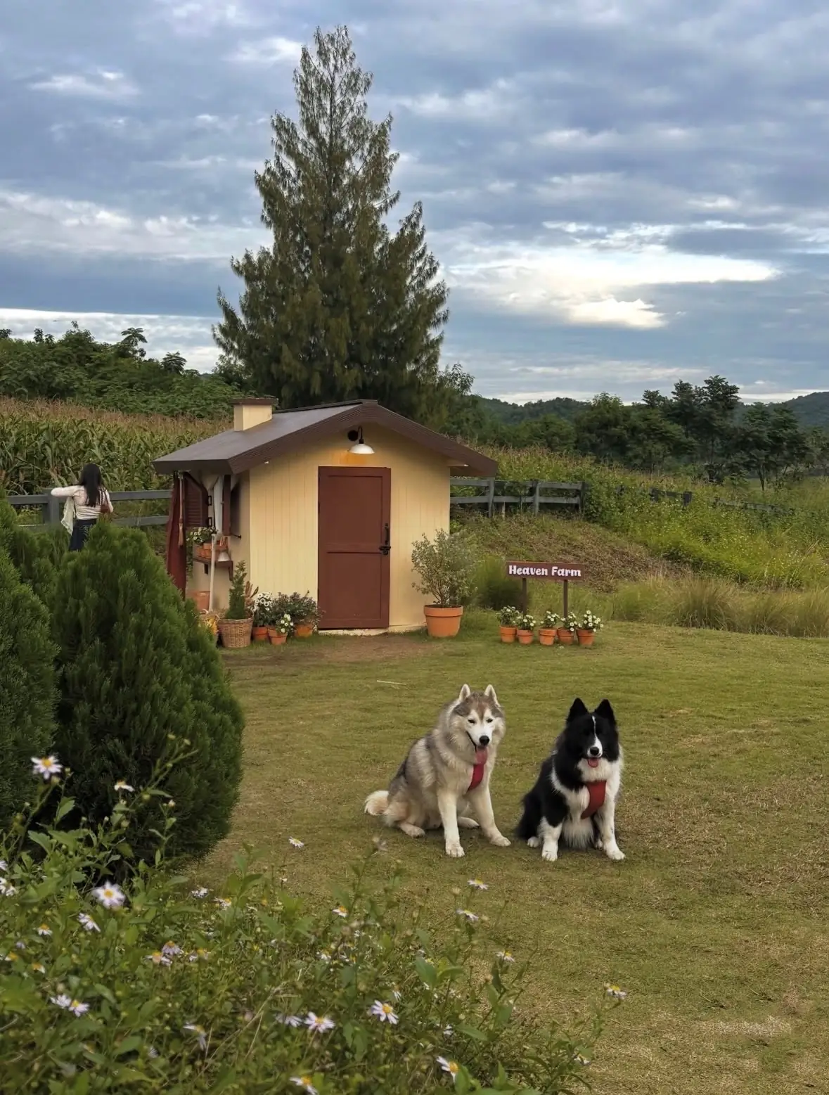 Heaven Garden Khaoyai pets image 1