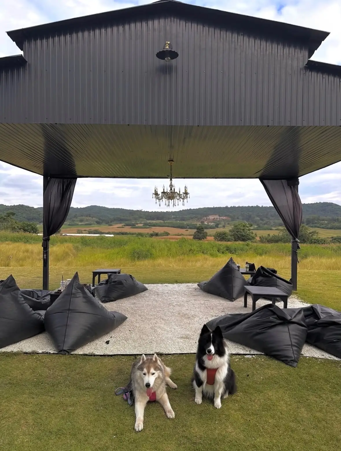 Heaven Garden Khaoyai pets image 2