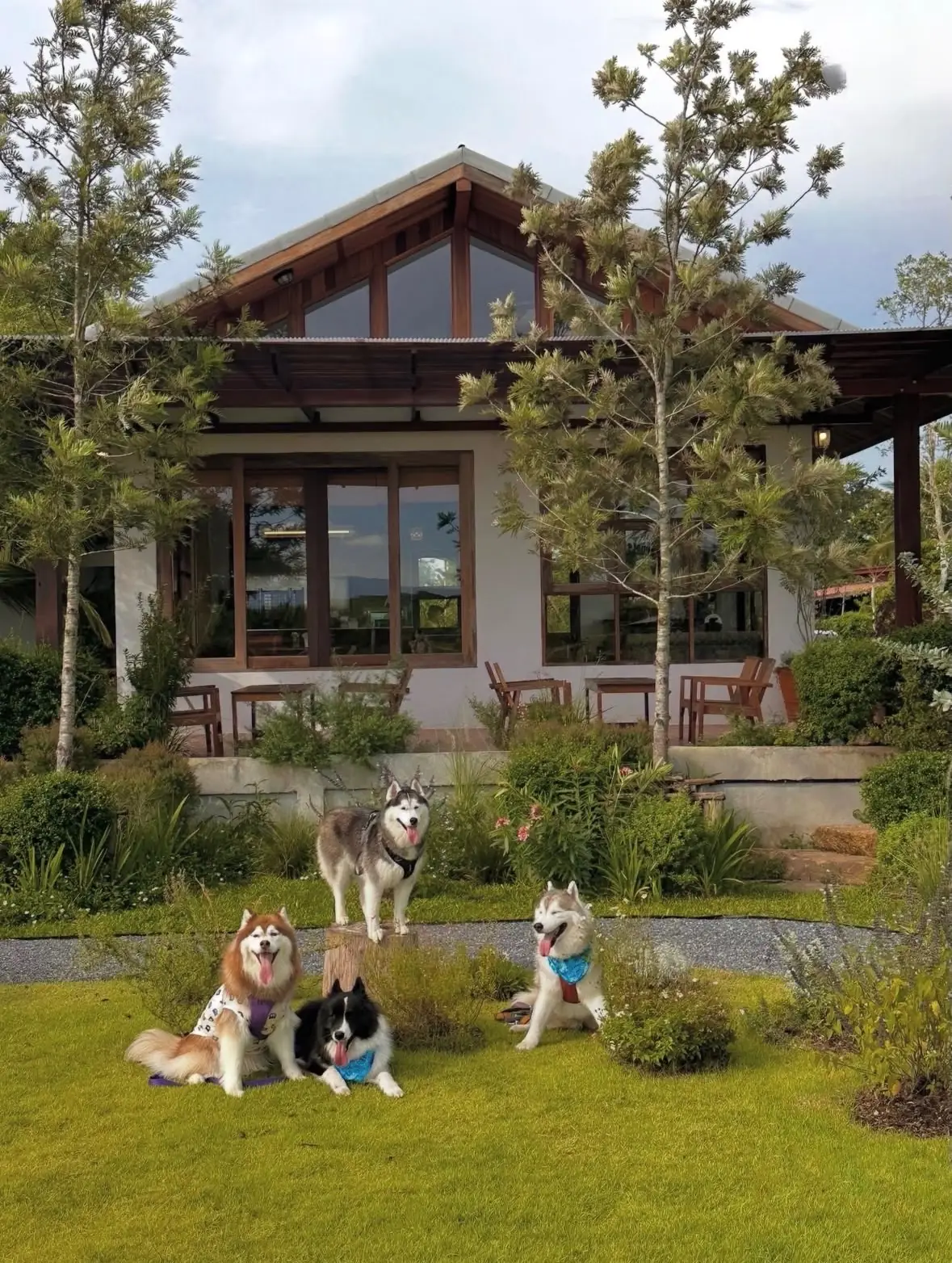 วันและเวลา pets image 4