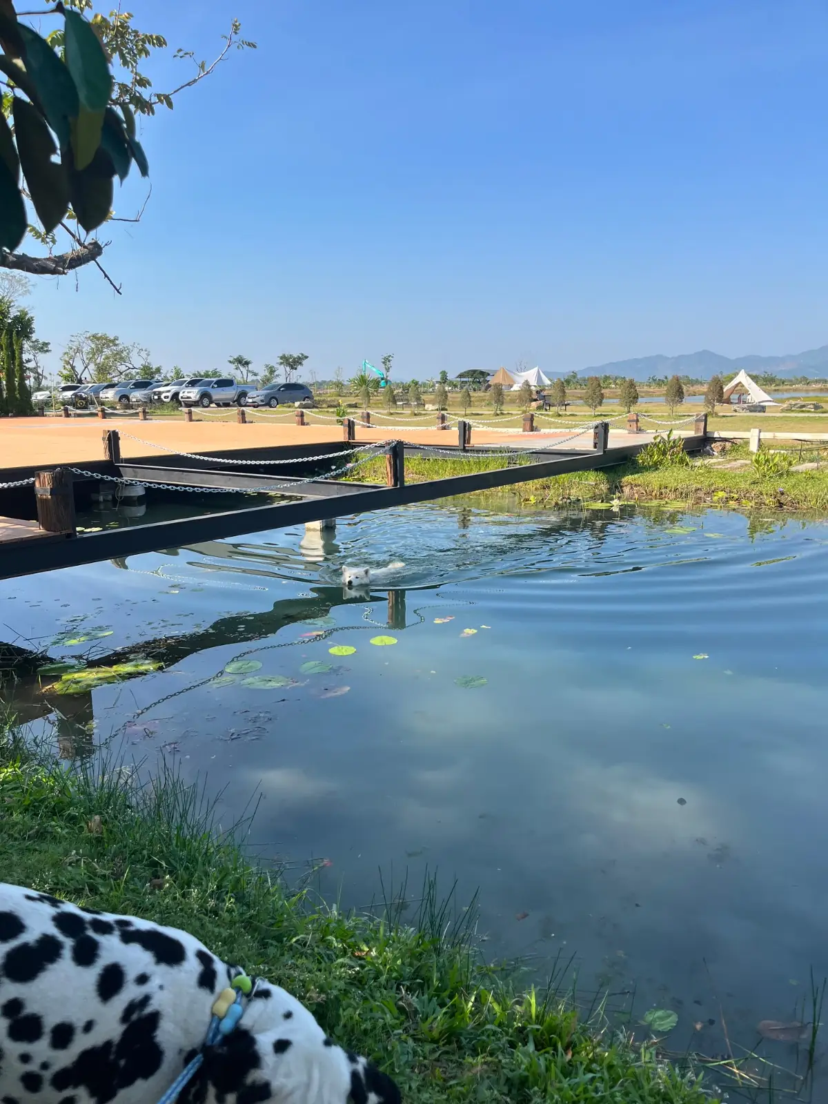 Ogee Coffee Space ambiance image 1