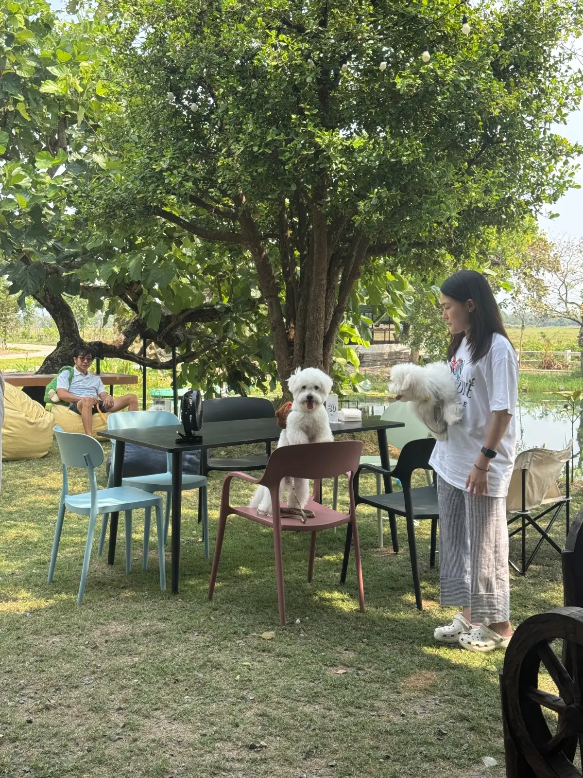 Ogee Coffee Space - Nakhon Nayok overall image 1